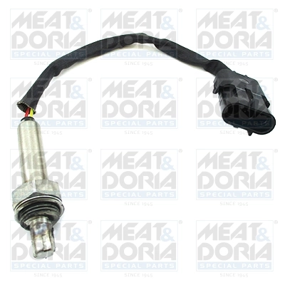 Oxygen Sensor